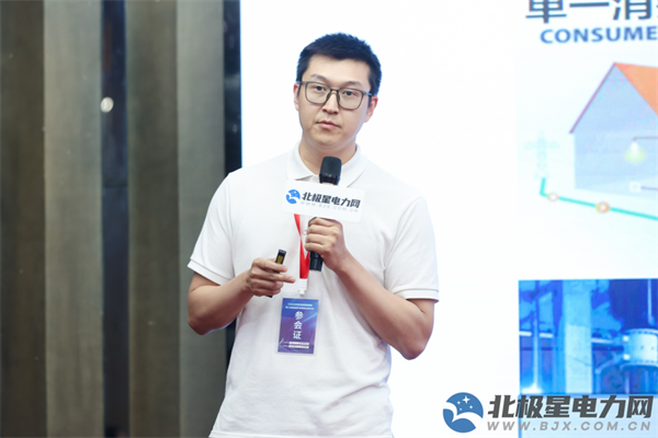 国网冀北电力王泽森：虚拟电厂在构建新型电力系统中的实践与思考